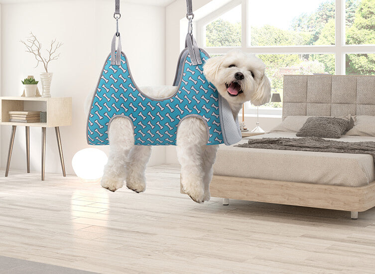 The Ultimate Guide to Using a Dog Grooming Hammock