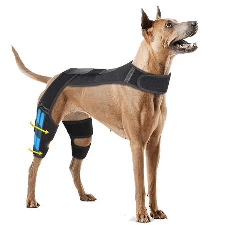 Dog Double Knee Brace-supet