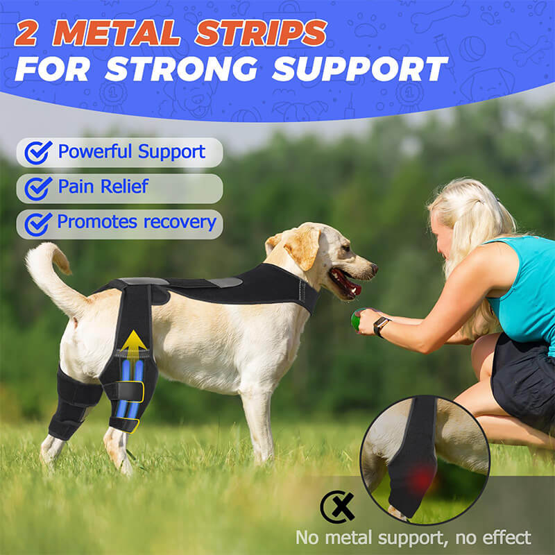 Dog Double Knee Brace-supet