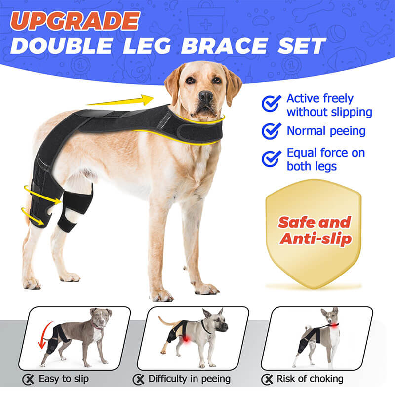 Dog Double Knee Brace-supet