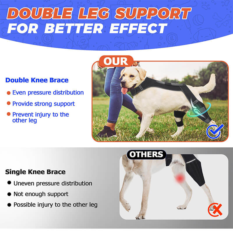 Dog Double Knee Brace-supet