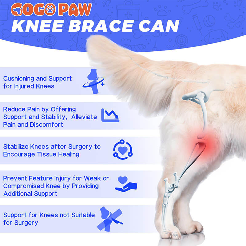 Dog Double Knee Brace-supet