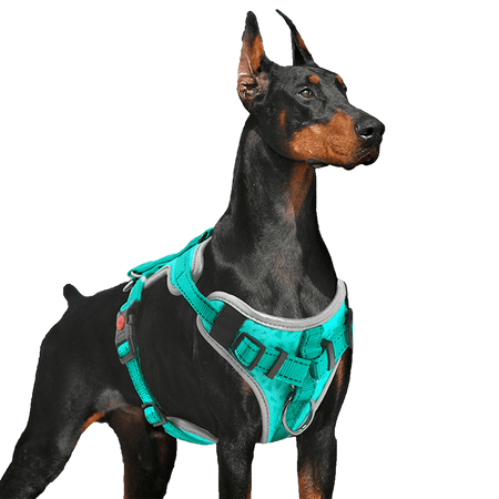 Dog Vest Harness_Turquoise-supet