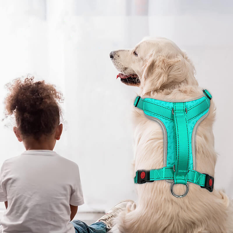 Dog Vest Harness-supet