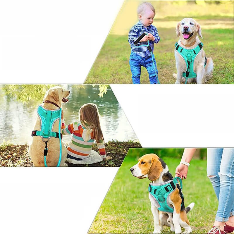 Dog Vest Harness-supet