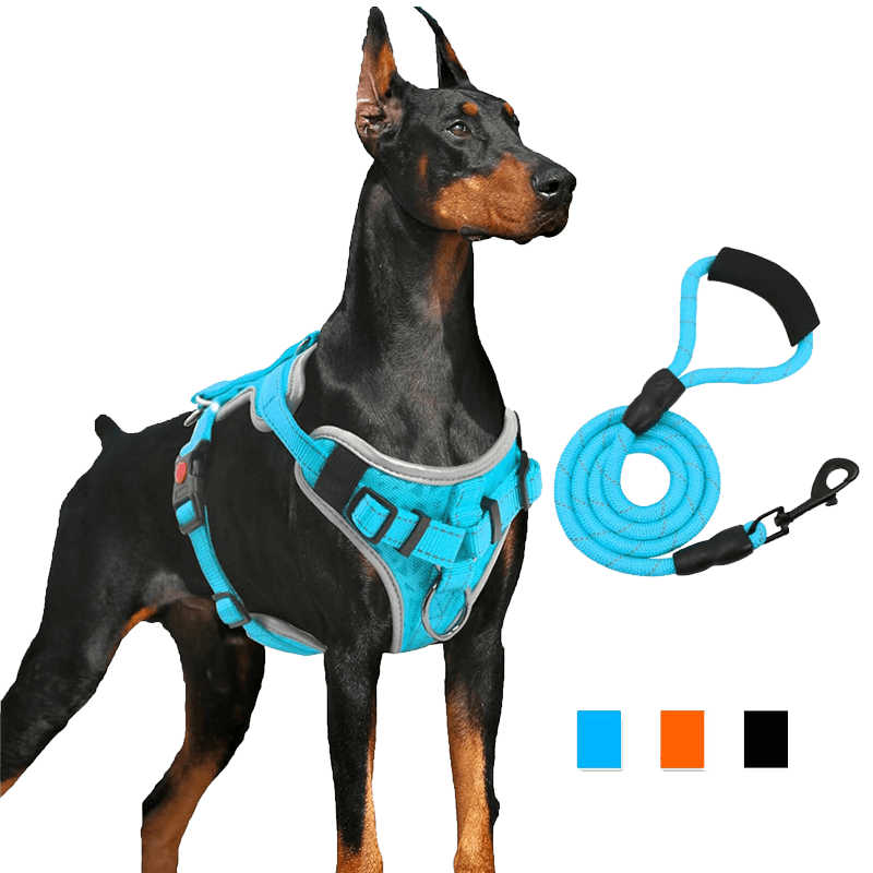 Dog Vest Harness_blue-supet