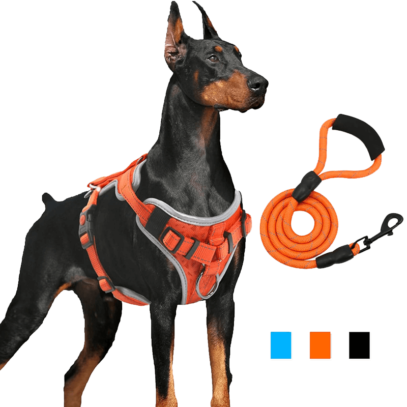 Dog Vest Harness_orange-supet