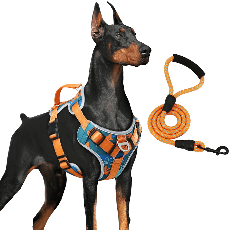 Dog Vest Harness_orange blue-supet