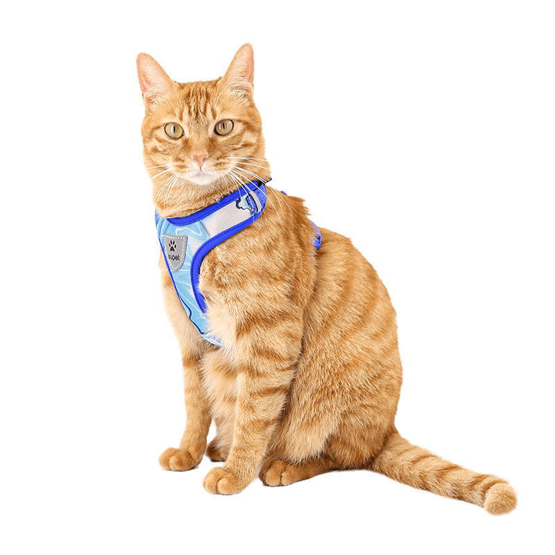 Cat Harness-supet