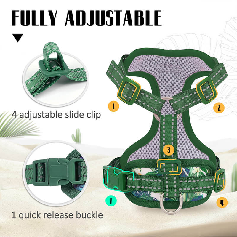 Supet Cat Harness and Leash