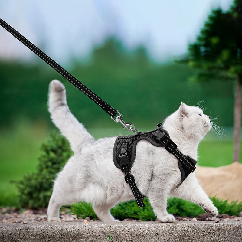 Cat Harness and Leash-supet