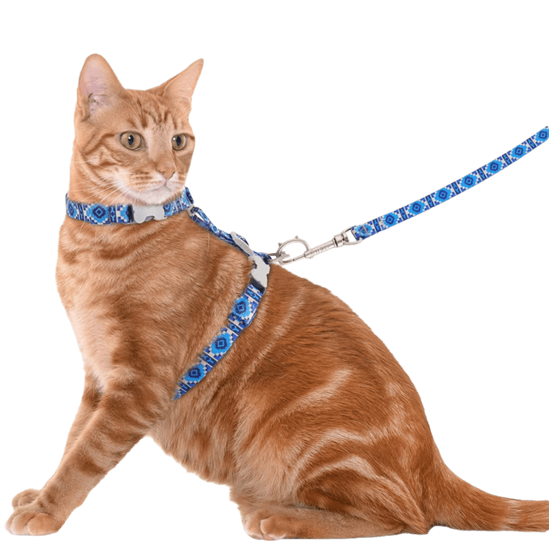 Cat Harness and Leash Set Supet