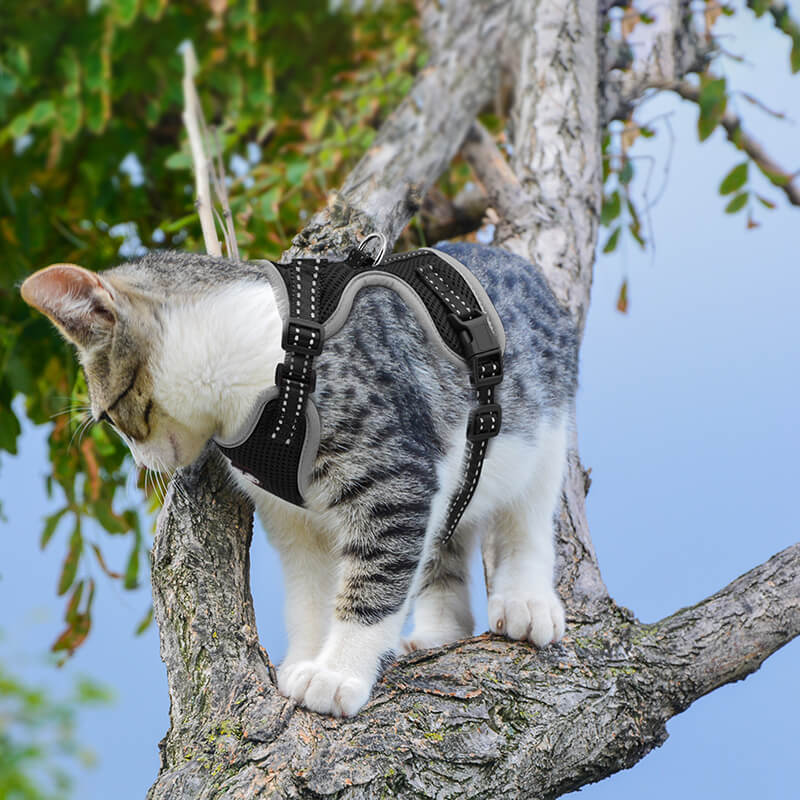 Cat Harness and Leash-supet