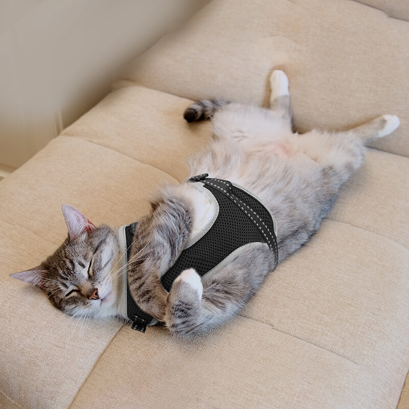 Cat Harness and Leash-supet