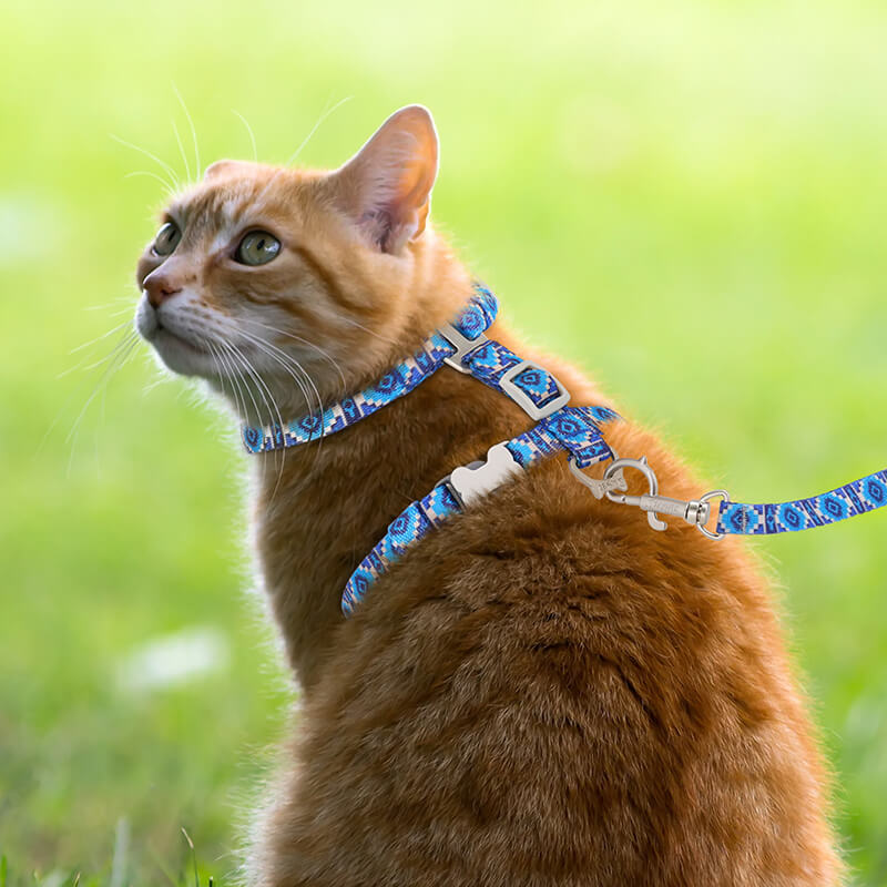 Cat Harness and Leash-Supet