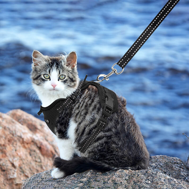 Cat Harness and Leash-supet