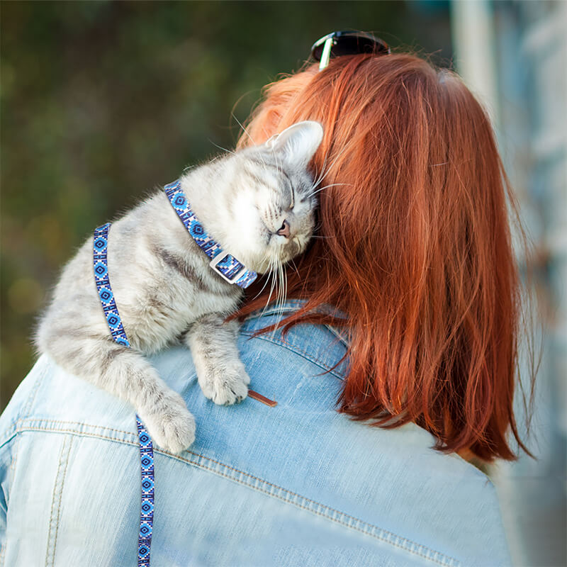 Cat Harness and Leash-Supet