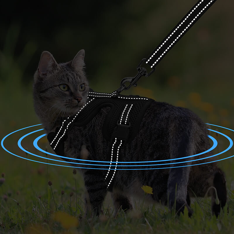 Cat Harness and Leash-supet