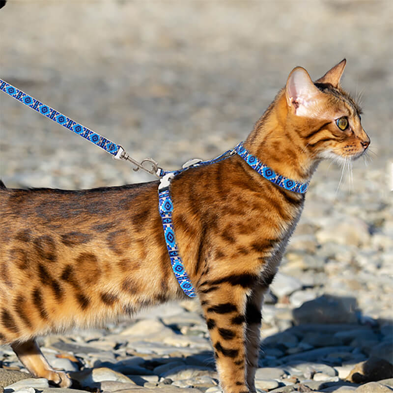 Cat Harness and Leash-Supet