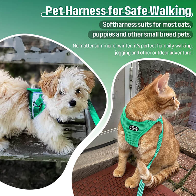 Cat Harness and Leash Set-Supet