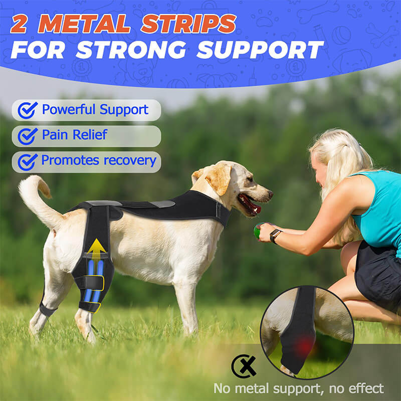 Supet Dog Knee Brace for Torn ACL Hind Legs