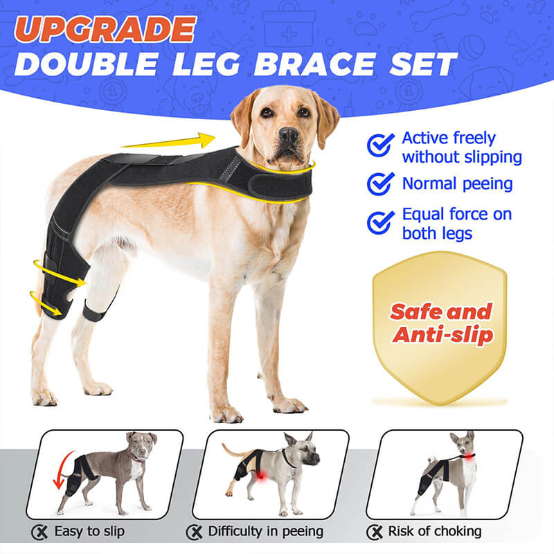 Dog Knee Brace-supet