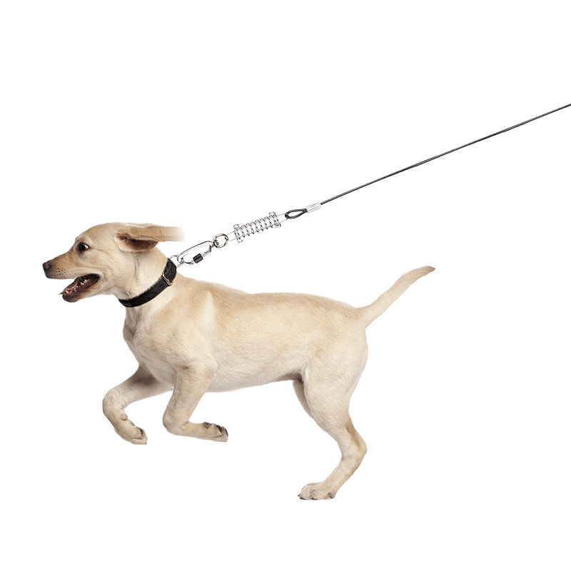 Dog Tie Out Cable-Supet