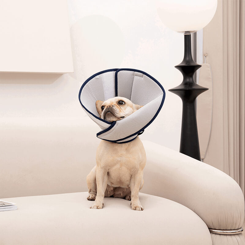 Softest Dog Cone-Supet