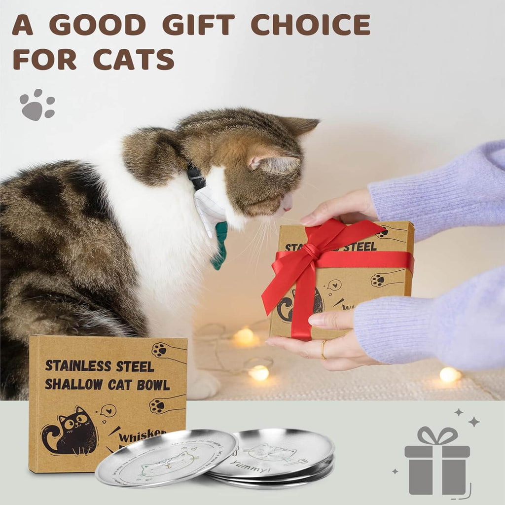 Cat Dishes6-supet