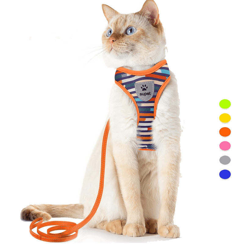 Cat Harness_orange-supet