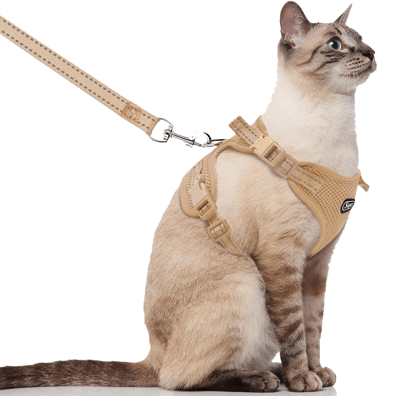 Cat Harness and Leash_beige-supet