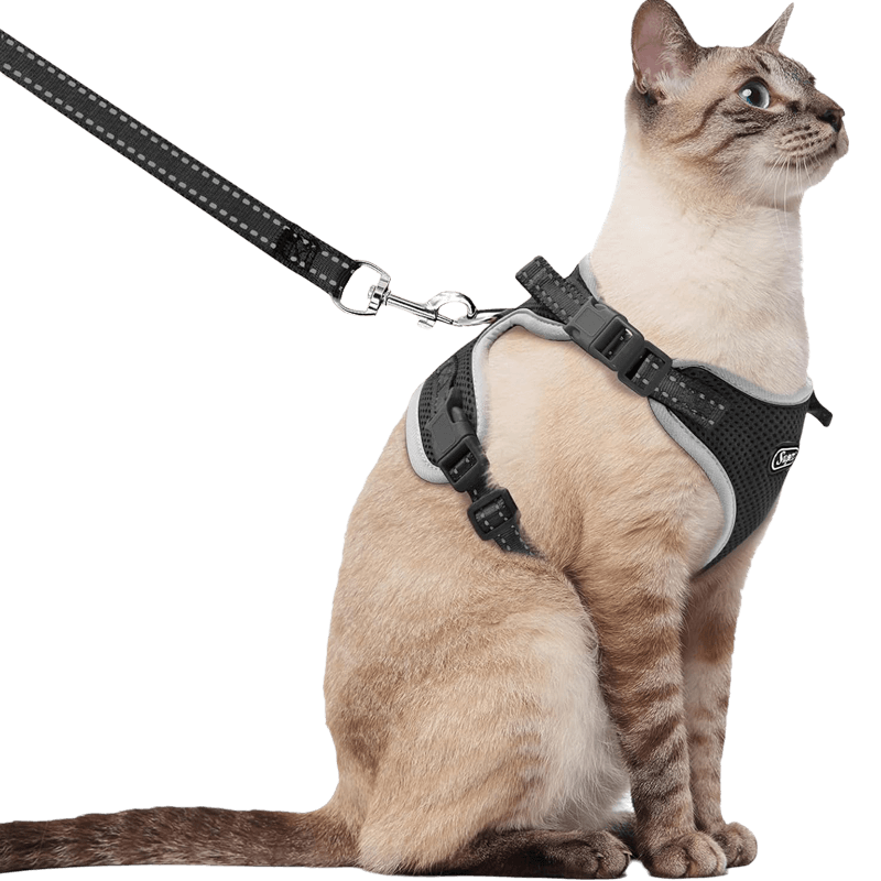 Cat Harness and Leash_black-supet