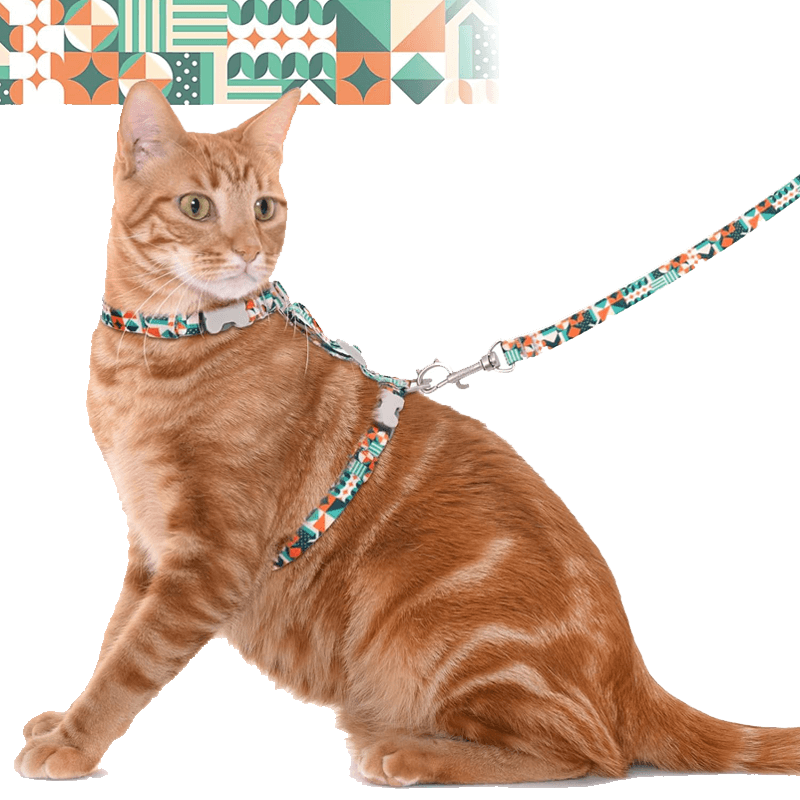 Cat Harness and Leash_green-Supet