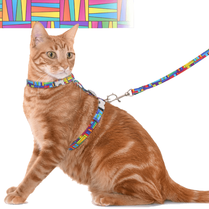 Cat Harness and Leash_rainbow-supet