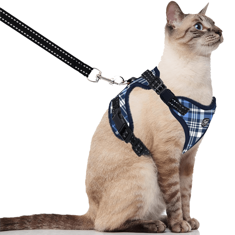 Cat Harness and Leash_lattice blue-supet