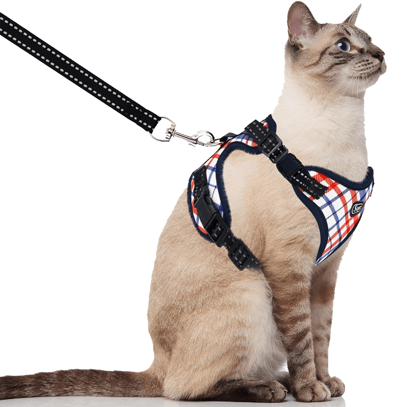 Cat Harness and Leash_lattice red-supet