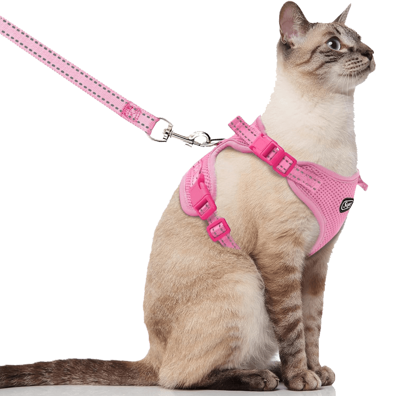 Cat Harness and Leash_pink-supet