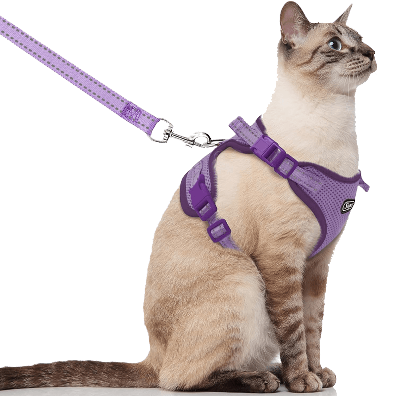 Cat Harness and Leash_purple-supet