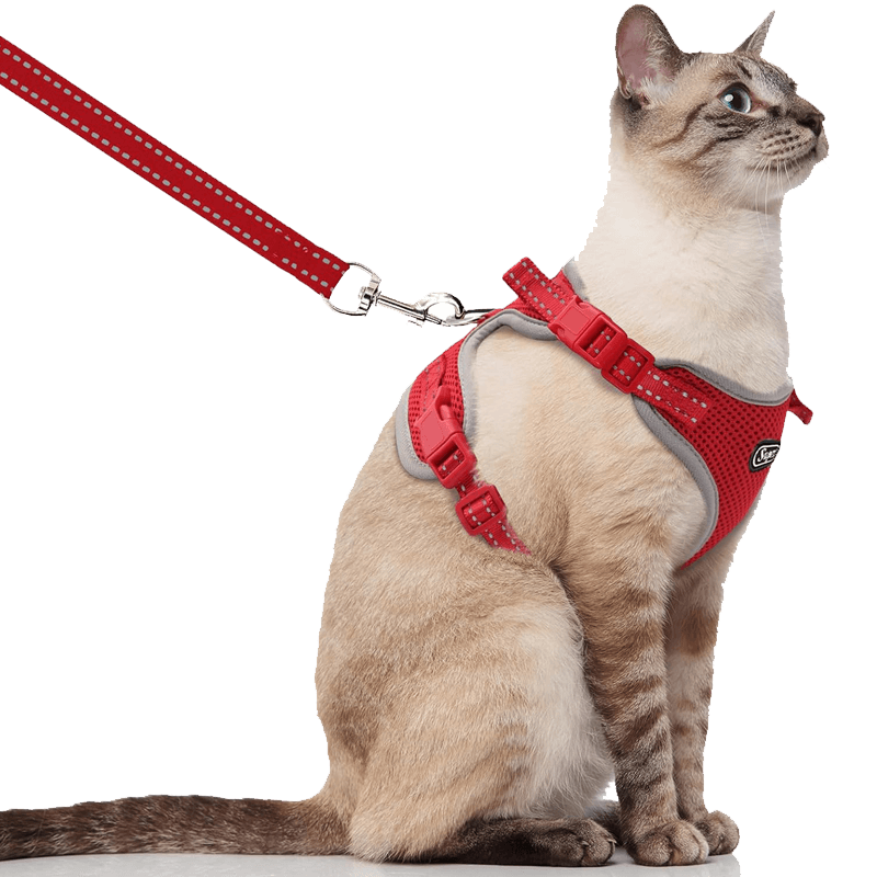 Cat Harness and Leash_red-supet