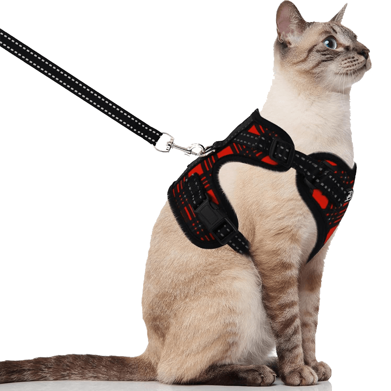 Cat Harness and Leash_red black-supet