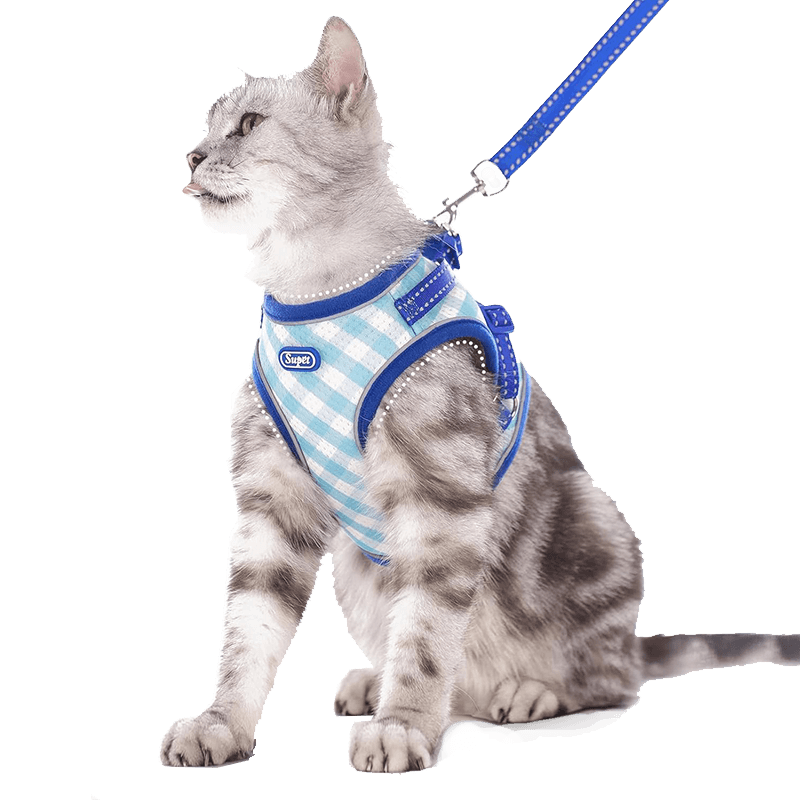 Cat Harness and Leash Set_Light Blue-Supet