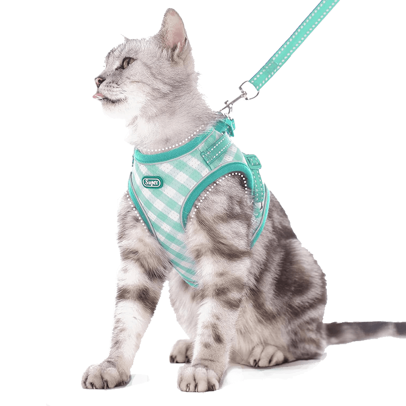 Cat Harness and Leash Set_Turquoise-Supet