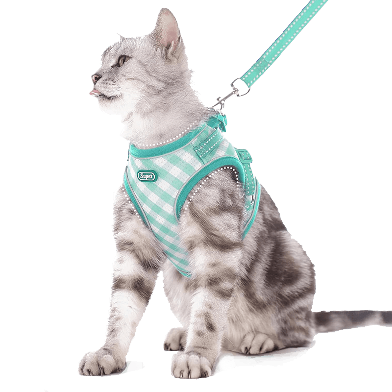Cat Harness and Leash Set_Turquoise Plaid-Supet