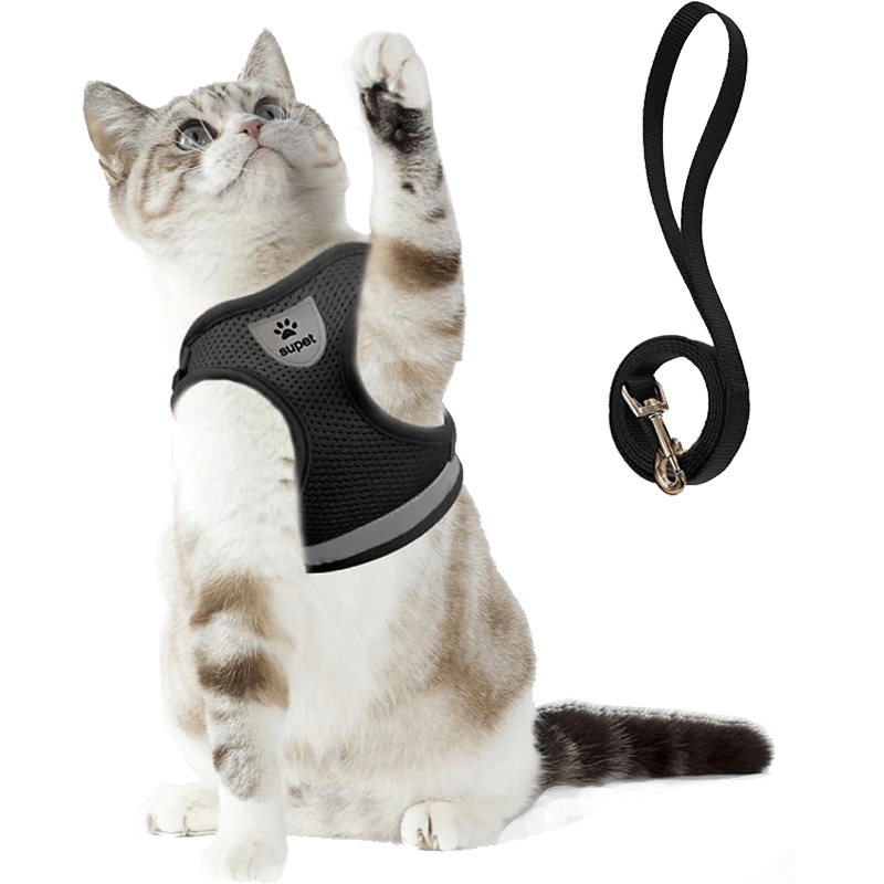 Cat Harness and Leash Set_black-Supet