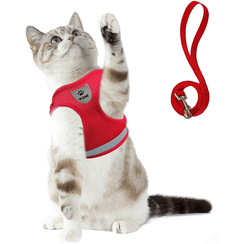 Cat Harness and Leash Set_red-Supet