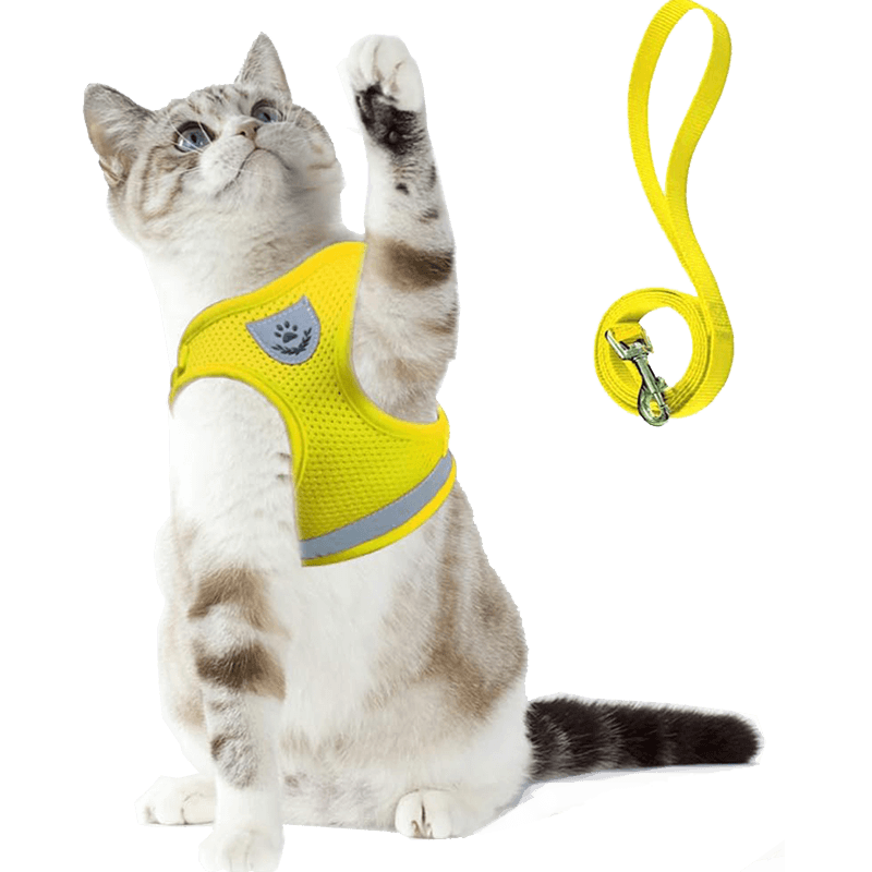 Cat Harness and Leash Set_yellow-Supet