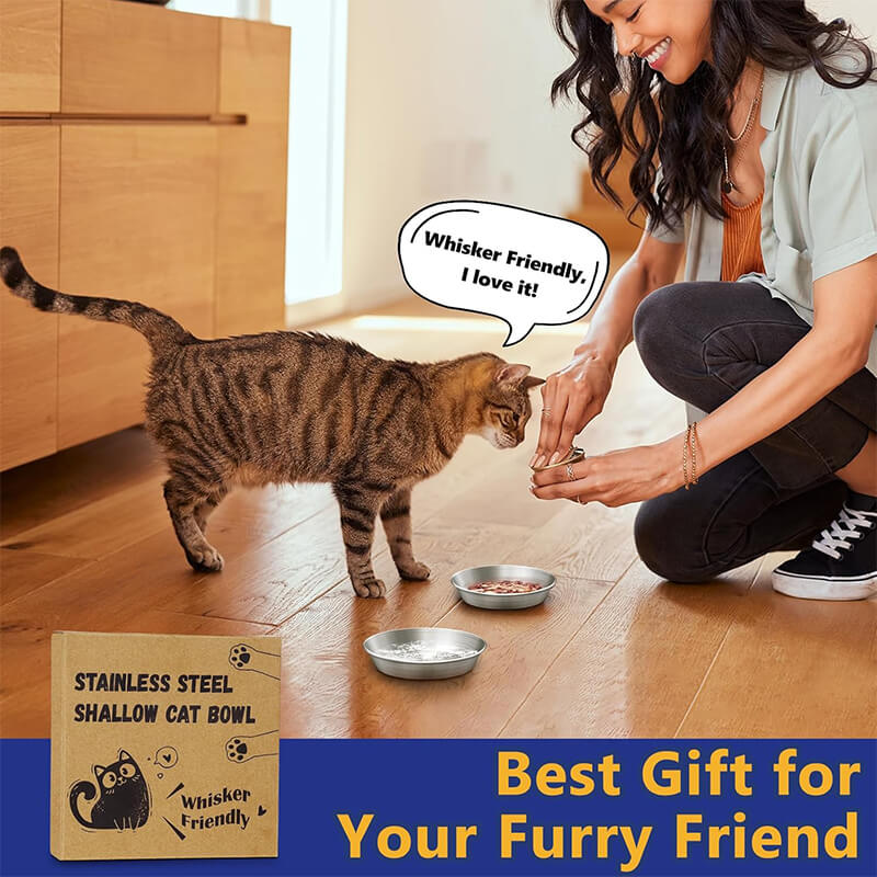 Cat Dishes6-supet