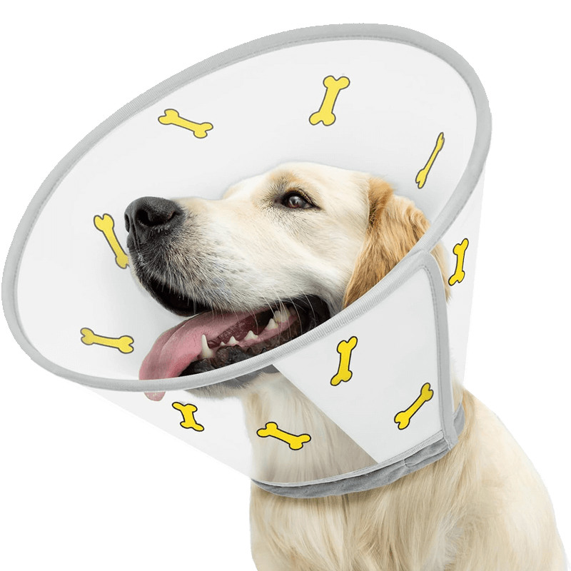 Plastic Dog Cone5-supet