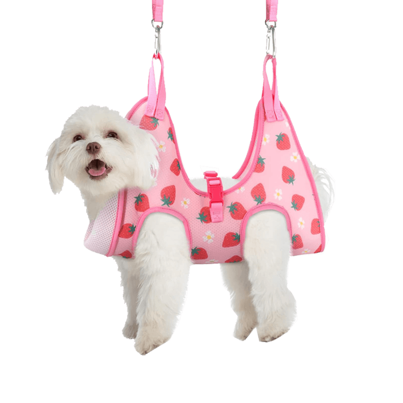 Dog Grooming Hammock_Strawberry-supet