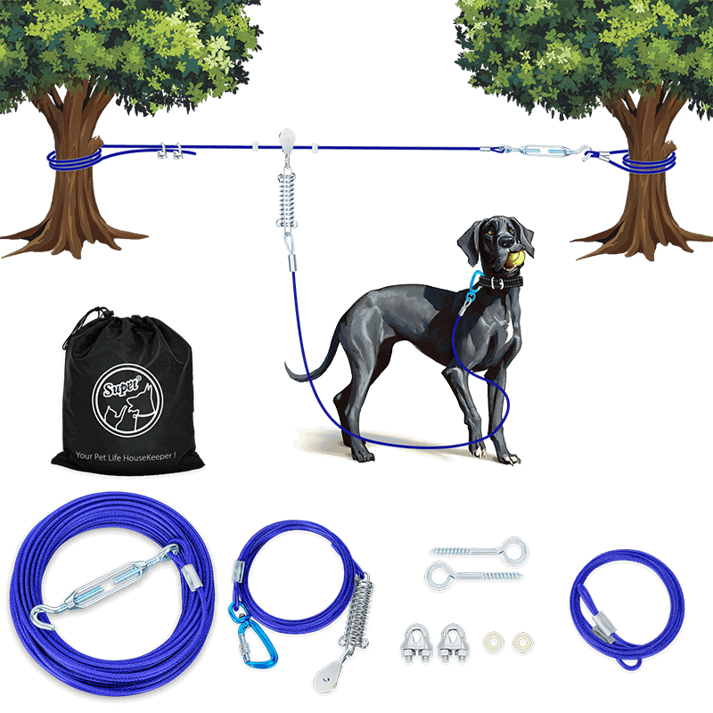 Dog Runner_blue-Supet